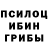 Галлюциногенные грибы Magic Shrooms iExecutor