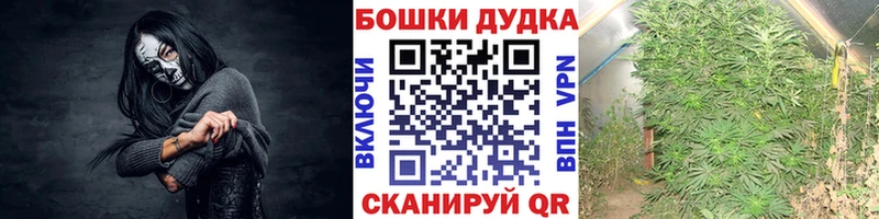 mega   Тотьма  Марихуана MAZAR 